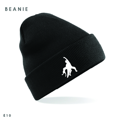 Social Dance Academy Belfast Beanie 